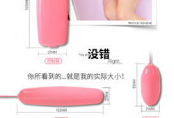 跳蛋动漫,探索青春校园的奇幻旅程